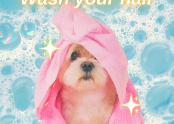 Editor’s Go-To Beauty Rituals for Bad Days – THE YESSTYLIST - Asian Fashion Blog