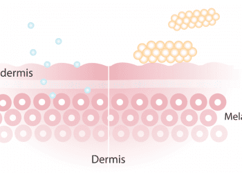 damp skin moisture absorption