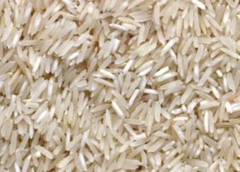 How to Starting a Rice Farm Business: Tips From the Pros
