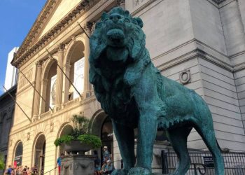 71696844_2515146525190427_2311483220396343296_o