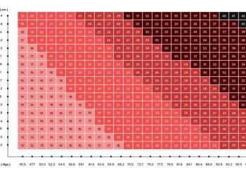 BMI Calculator - An Informative Outlook on Body Mass Index