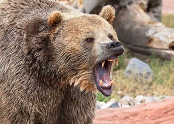 Dow Jones Futures Rise After 'Hard' Reality Hits Market; What To Do Now