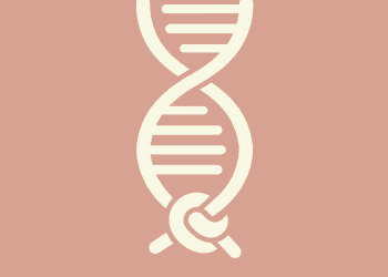 How the End of Roe Would Change Prenatal Care