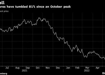 Sea Game Revenue Tops Estimates, Offsetting E-Commerce Slowdown