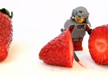 Should this LEGO eat berries? Daily? Let's find out!