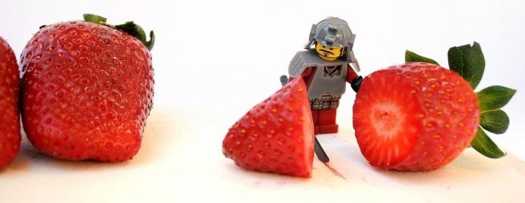 Should this LEGO eat berries? Daily? Let's find out!