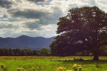 A great place to hike.