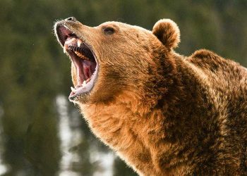 Dow Jones Futures: Stock Market Dives As Recession Fears Swell; How Low Can It Go?