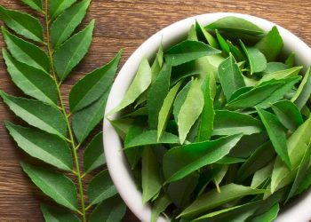 Curry leaves