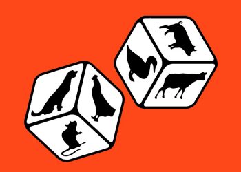 Squirrels Could Make Monkeypox a Forever Problem