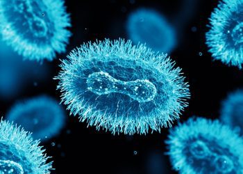 U.S. Officials Announce More Steps Against Monkeypox