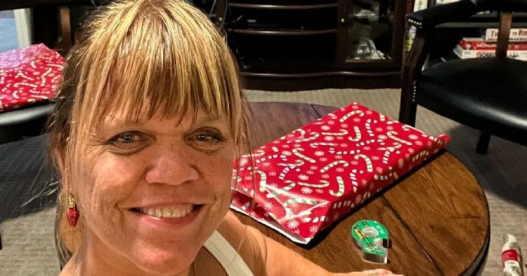 ‘Little People, Big World’ Star Amy Roloff’s Home Tour