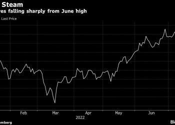 Chinese Electric Car Giant’s Slump Fuels Speculation on Warren Buffett Adjusting Holdings