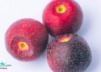 phalsa health benefits