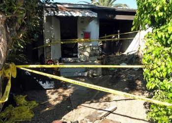 Anne Heche 'Was Very Pleasant' During ‘Strange’ Salon Visit Ahead Of Crash, Owner Speaks Out