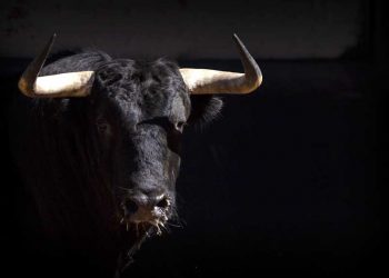 Dow Jones Futures: Market Rally Runs Up To Key Test; Here's What To Do Now