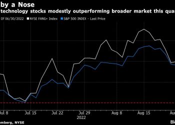 Goldman Says Hedge Funds Back Betting Big on Megacap Tech Stocks