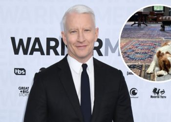 Photos of New York City Home 