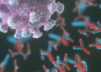 Researchers Are Working on a New Rapid COVID-19 Immunity Test