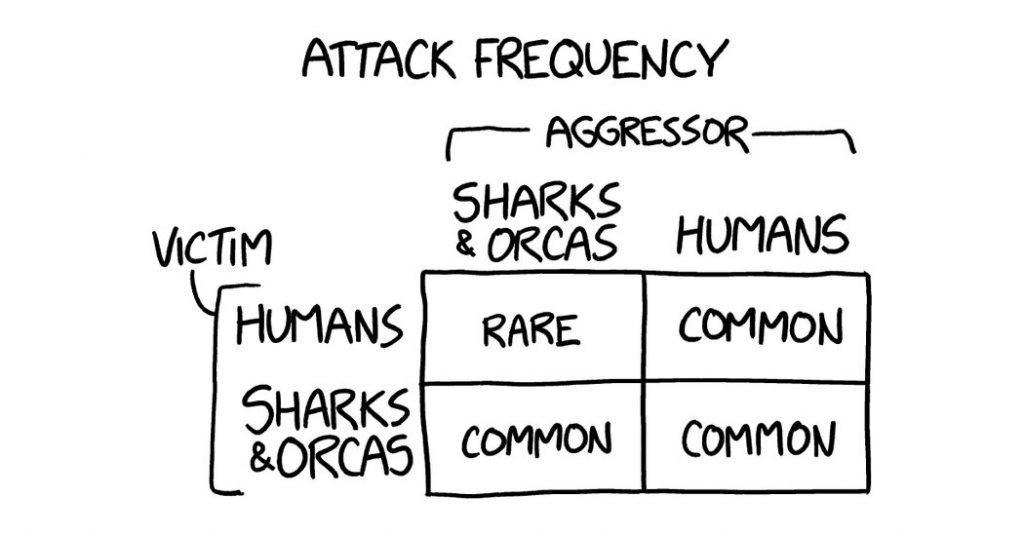 Shark or Orca: Which Should You Fear More?