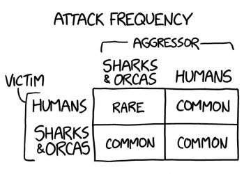 Shark or Orca: Which Should You Fear More?