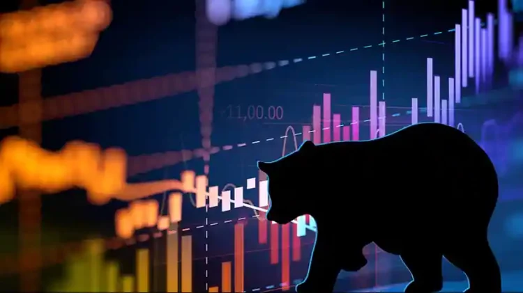 Smart strategies to survive a bear market - Tips