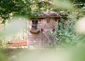 Best DIY Backyard Gym Ideas To Get Fit In 2023