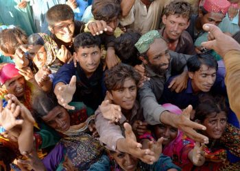 WHO Raises Alarm on Disease in Flood-hit Areas of Pakistan