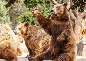 Dow Jones Futures: Stocks Threaten Bear Market Lows; AMD, Tesla Plunge