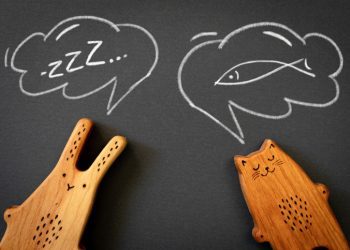 A wooden toy bunny and cat with thought bubble drawn on a blackboard above suggesting sleep and good dreams