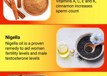 infographic main image