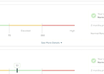 Results Over Time example