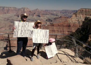 Elizabeth Potthast and Andrei Castravet DELIGHT Chuck with Pregnancy Announcement!