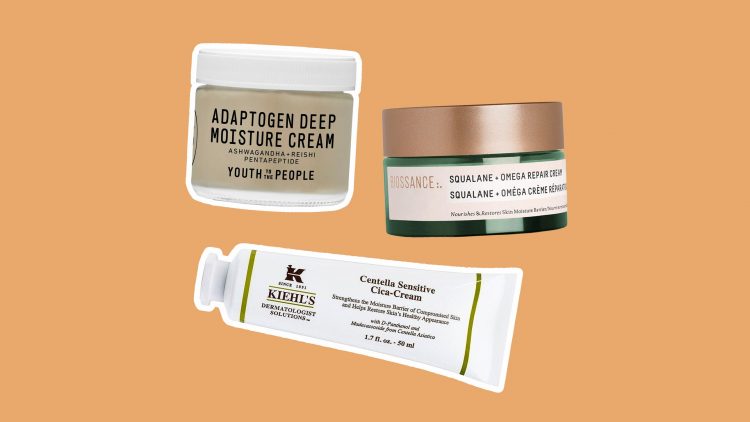 17 Best Moisturizers for Dry Skin 2022 — Expert Reviews 